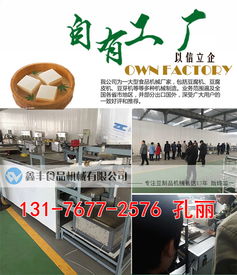 河南商丘豆腐皮機采購指南 廠家直銷、商用價格與購買渠道